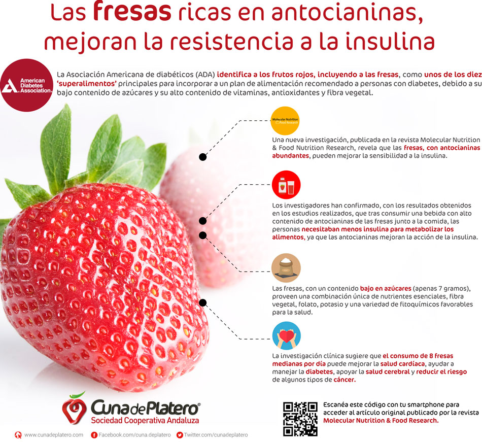 fresas buenas para dieta personas diabeticas