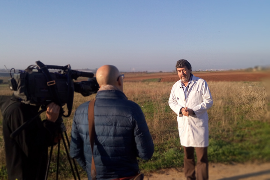 Cuna de Platero, protagonista de un reportaje de ‘Salud al Día’ sobre el consumo de berries y Moguer