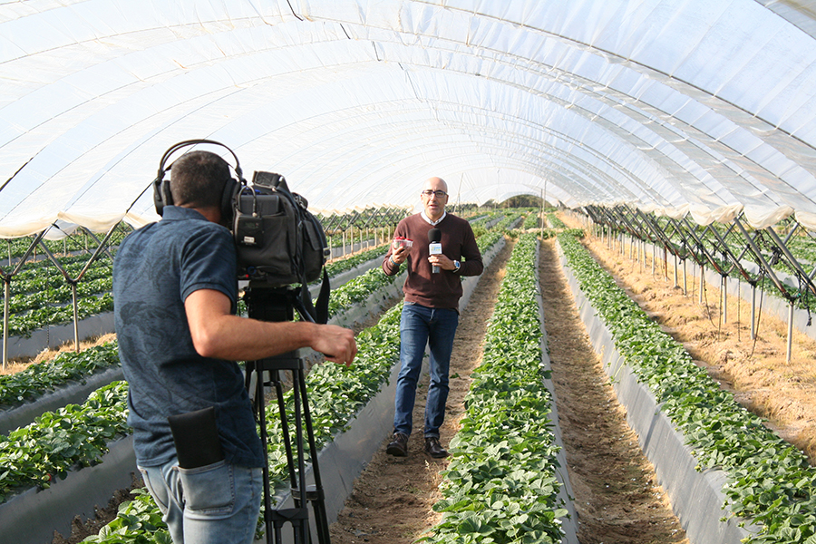 Cuna de Platero, protagonista de un reportaje de ‘Salud al Día’ sobre el consumo de berries y Moguer