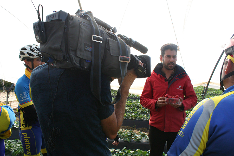 Cuna de Platero, protagonista de un reportaje de ‘Salud al Día’ sobre el consumo de berries y Moguer