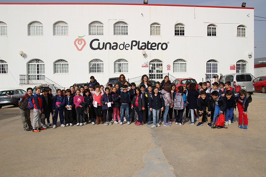 Cuna de Platero fomenta el conocimiento de las fresas a los alumnos del colegio Santo Ángel de Huelva