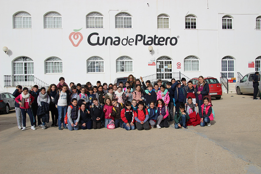 Cuna de Platero fomenta el conocimiento de las fresas a los alumnos del colegio Santo Ángel de Huelva