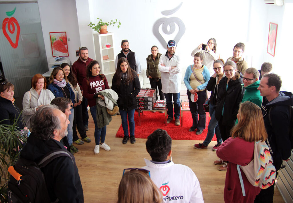 Cuna de Platero participa en la primera edición de la “Berry School” para el estudio de variedades de fresas