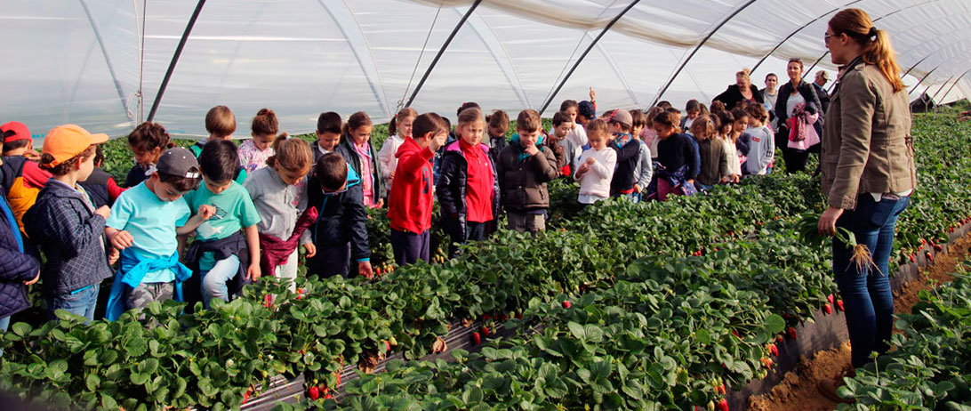 Cuna de Platero apoya con una visita a sus instalaciones el programa de Educación Alimentaria del colegio El Puntal de Aljaraque