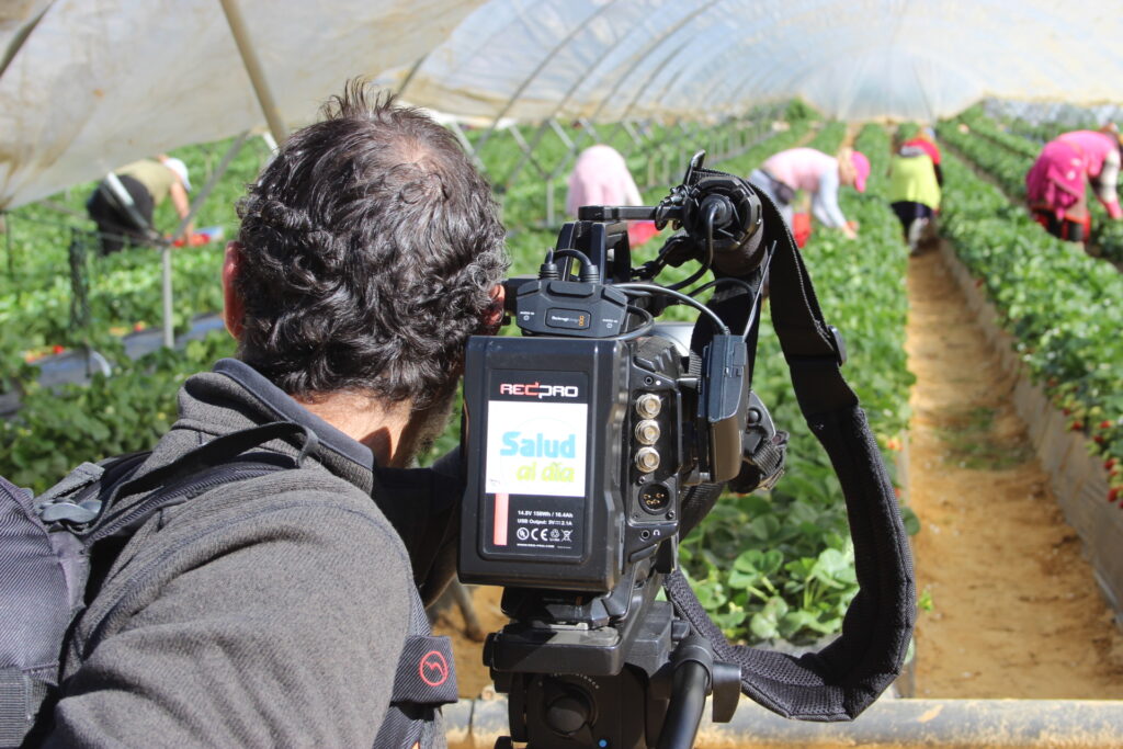 Las fresas de Cuna de Platero, protagonistas del programa "Salud al Día"