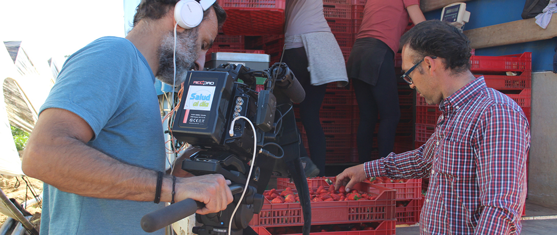 Las fresas de Cuna de Platero, protagonistas del programa "Salud al Día"